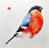 Domherre  original, liten