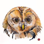 Uggla original, liten