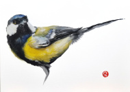 Talgoxe original, liten